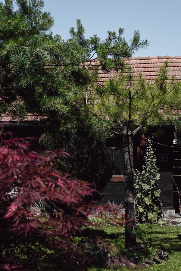 House For Rest Juliet Apartment Velika Gorica Exterior photo