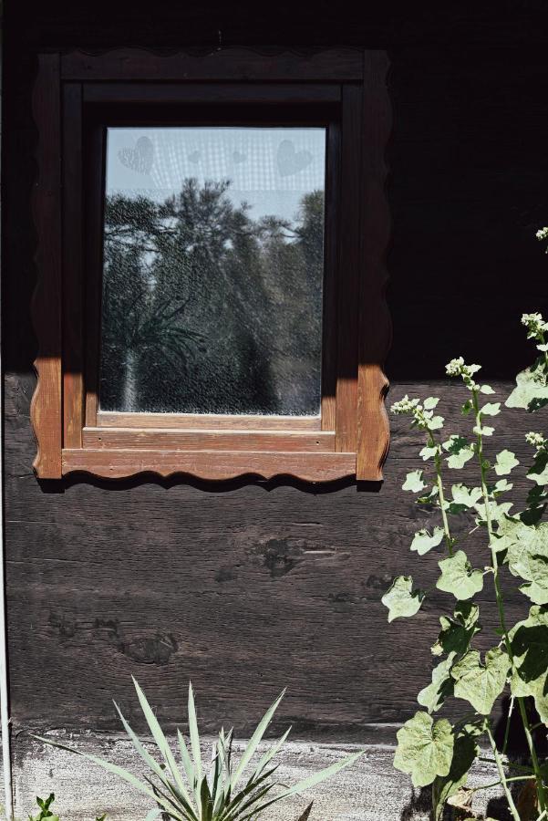 House For Rest Juliet Apartment Velika Gorica Exterior photo
